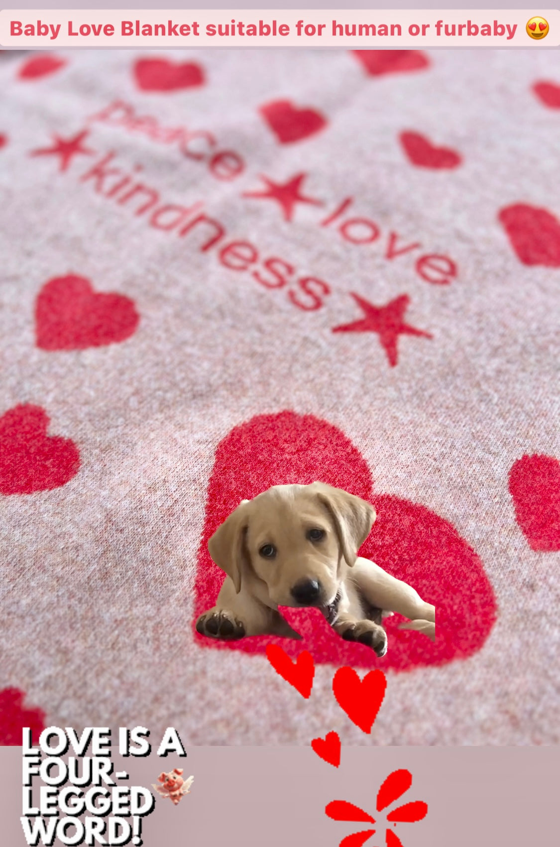 Scottish Lambswool Baby Blanket - Baby Love Edition - Moncur Knitwear